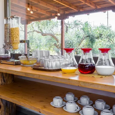 Filippos 酒店 Skala Rachoni (Thasos)